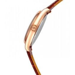 Слава 1493860/300-8215