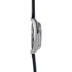 Слава 2500546/300-2035