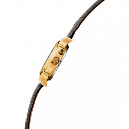 Слава 1239412-300-2428