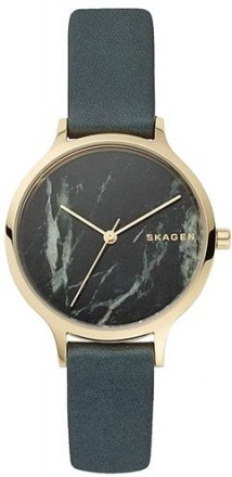 Наручные часы Skagen SKW2720
