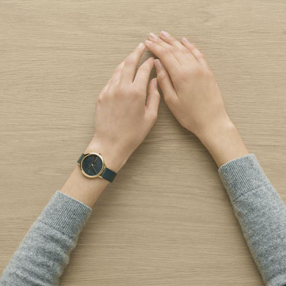 Часы Skagen SKW2720