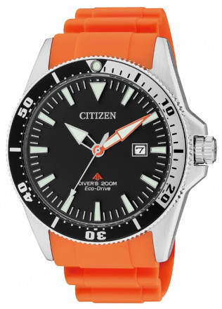 Наручные часы Citizen BN0100-18E