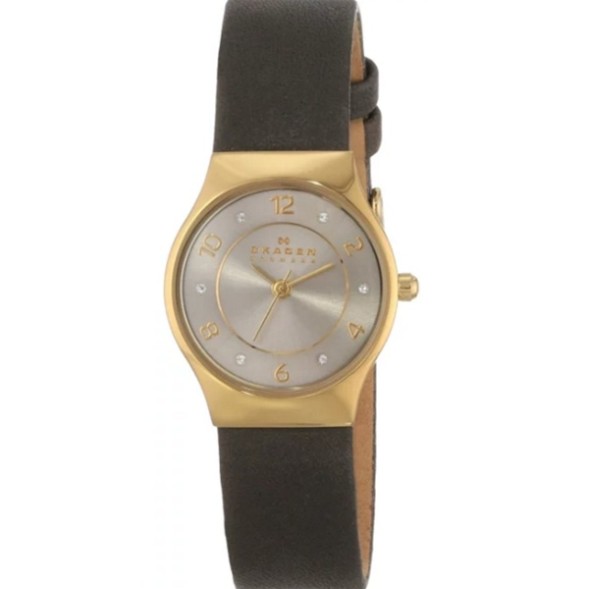 Часы Skagen SKW2208