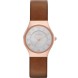 Часы Skagen SKW2210