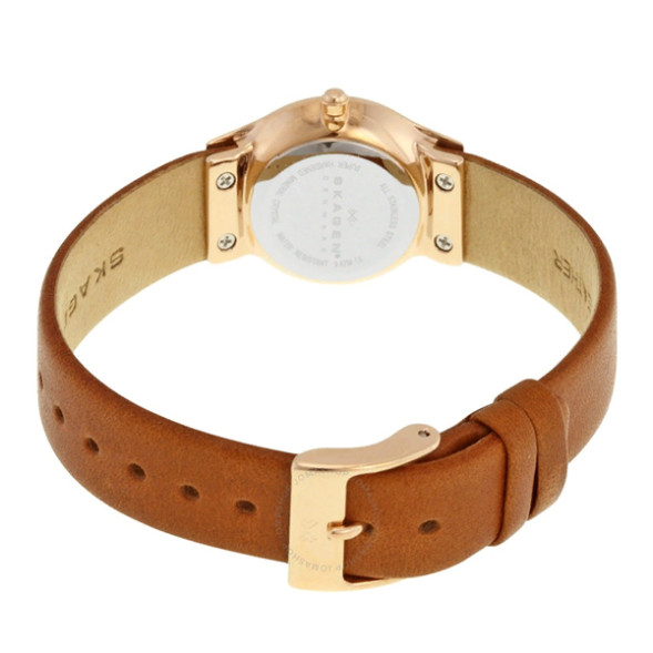 Часы Skagen SKW2210