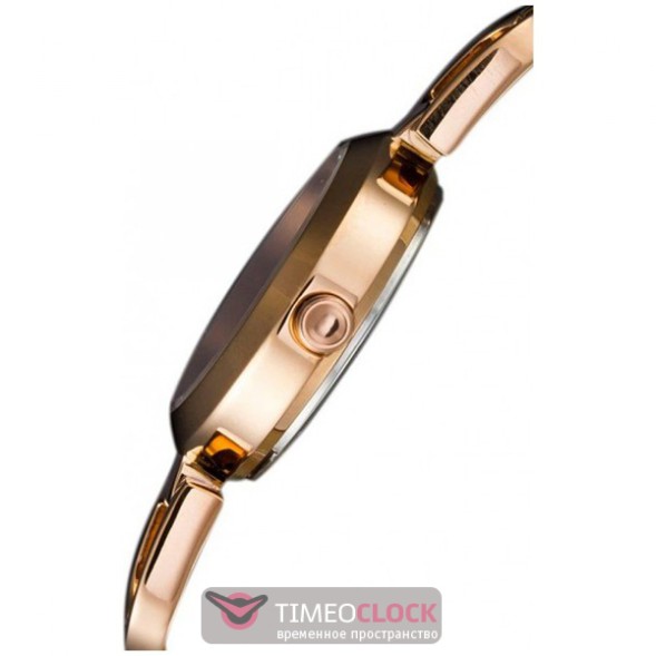 Часы DKNY NY8542