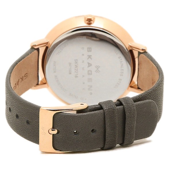 Часы Skagen SKW2216