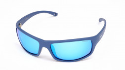 Polaroid PLD 7017/S PJP