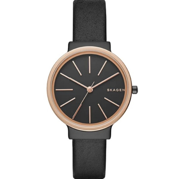 Часы Skagen SKW2480