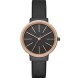 Часы Skagen SKW2480