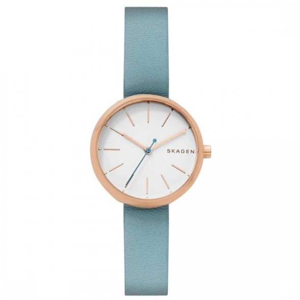 Часы Skagen SKW2621