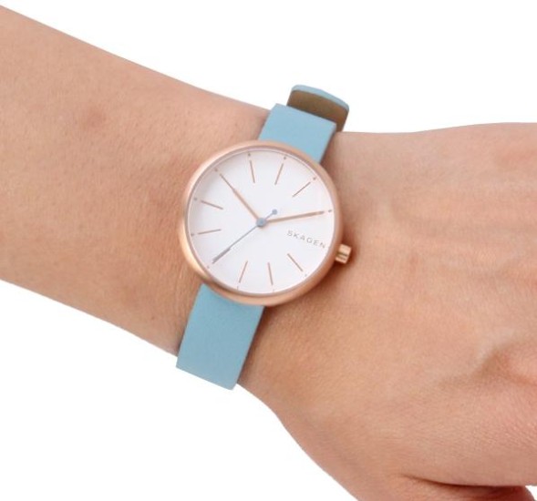 Часы Skagen SKW2621