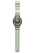 Часы Casio GA-2100CC-3A