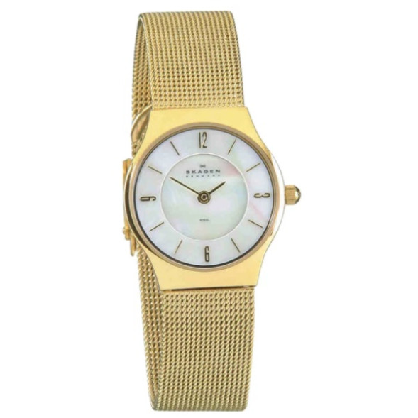 Часы Skagen 233XSGG