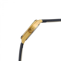 Слава 2559612/300-2035