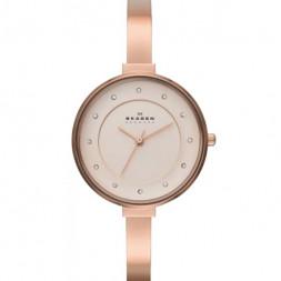 Skagen SKW2230