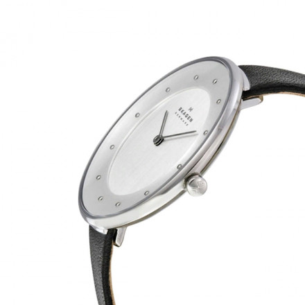 Наручные часы Skagen SKW2232