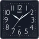Casio IQ-06-1