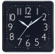 Casio IQ-06-1