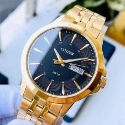 Citizen BF2013-56E