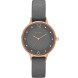 Часы Skagen SKW2267