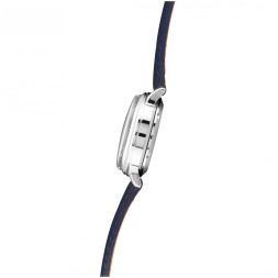 Слава 1870091/300-6Т15