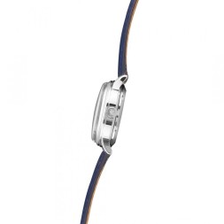 Слава 1870091/300-6Т15