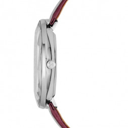 Skagen SKW2273