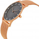 Часы Skagen SKW2378