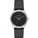 Часы Skagen SKW2283