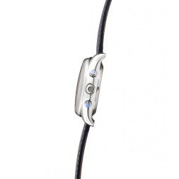 Слава 1880139/300-4617