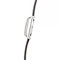 Слава 1880139/300-4617