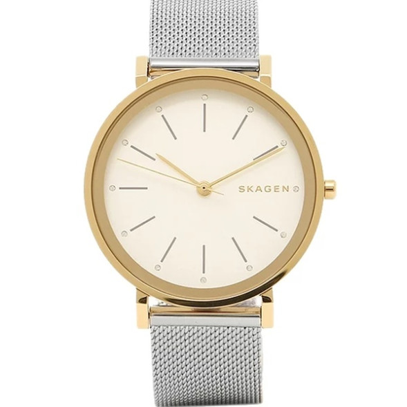 Часы Skagen SKW2508