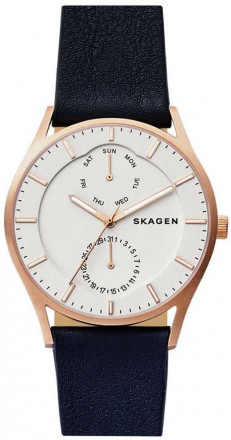 Наручные часы Skagen SKW6372