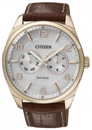 Наручные часы Citizen AO9024-16A