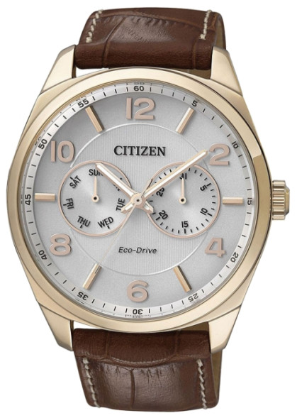 Часы Citizen AO9024-16A