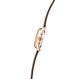 Сенат 1889258/300-4617