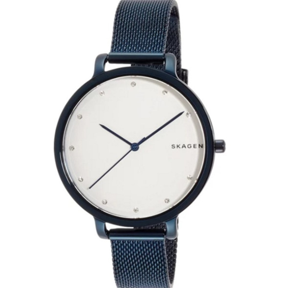 Часы Skagen SKW2579