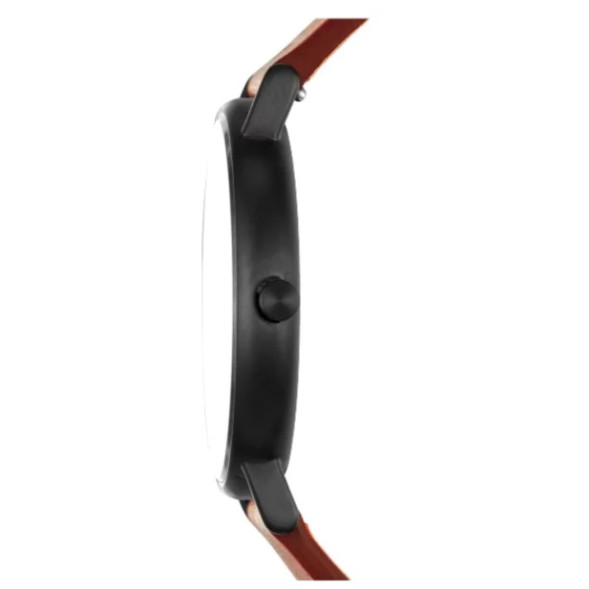 Часы Skagen SKW6374