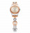 Наручные часы Swatch LADY PASSION YSS234G