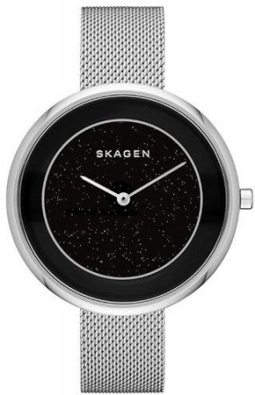 Наручные часы Skagen SKW1070