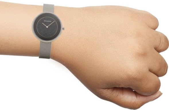 Часы Skagen SKW1070