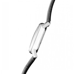 Слава 2251233/6Р29-300