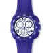 Часы SWATCH SUIV400