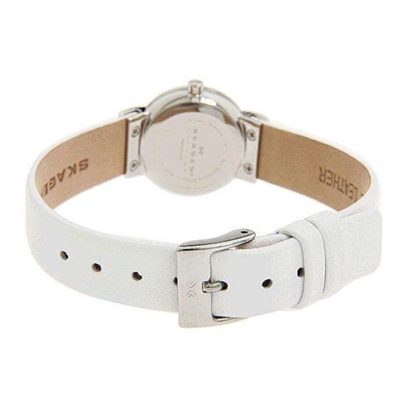 Часы Skagen 358XSSLWW