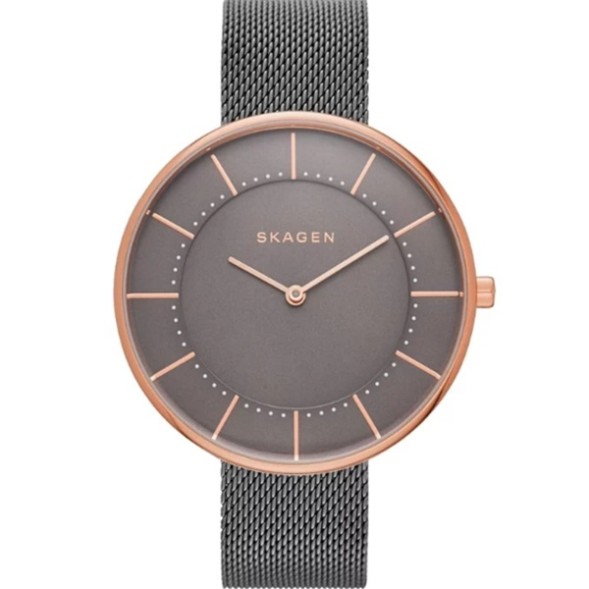 Часы Skagen SKW2584