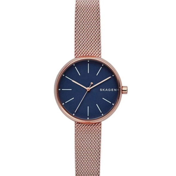 Часы Skagen SKW2593
