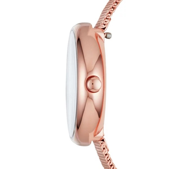 Часы Skagen SKW2593