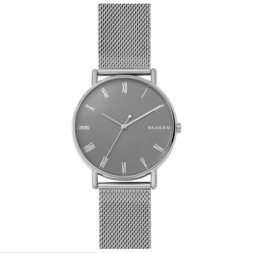 Skagen SKW6428