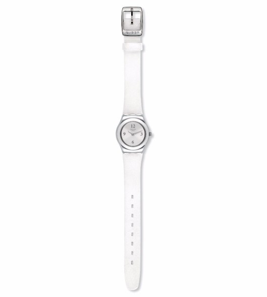 Часы Swatch SILVER KEEPER YSS296